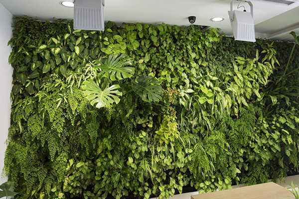 成都酒店設(shè)計(jì)公司論酒店綠化設(shè)計(jì)的作用2