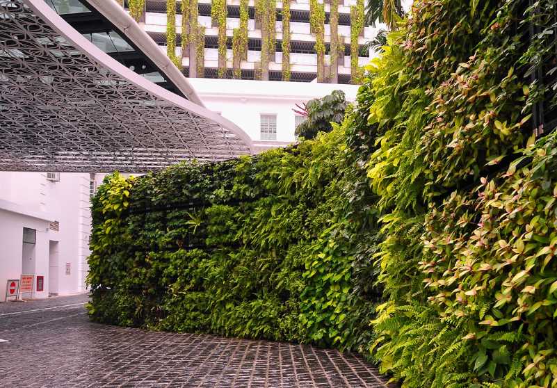 酒店植物墻裝修設計